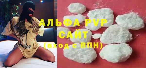 ECSTASY Белокуриха