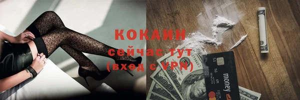 ECSTASY Белокуриха