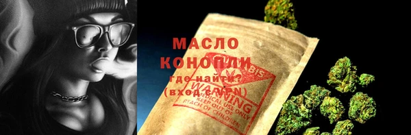 индика Богданович