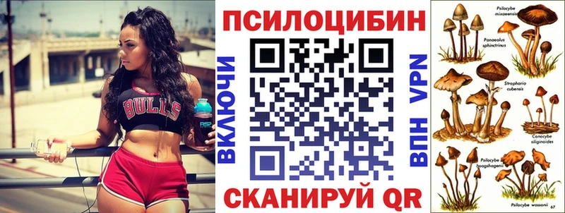 Псилоцибиновые грибы мицелий  blacksprut маркетплейс  Белебей  где можно купить наркотик 
